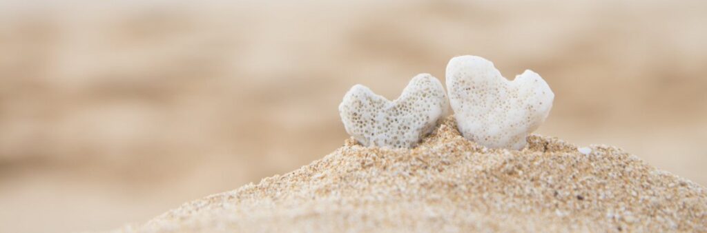 Honeymoon: Milan, Cinque Terre, Tuscany, Venice & Sicily